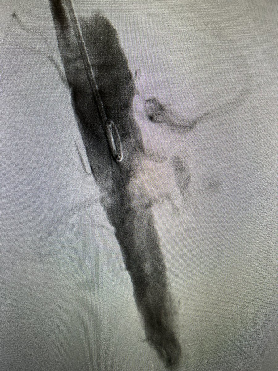 André Poci tweet media