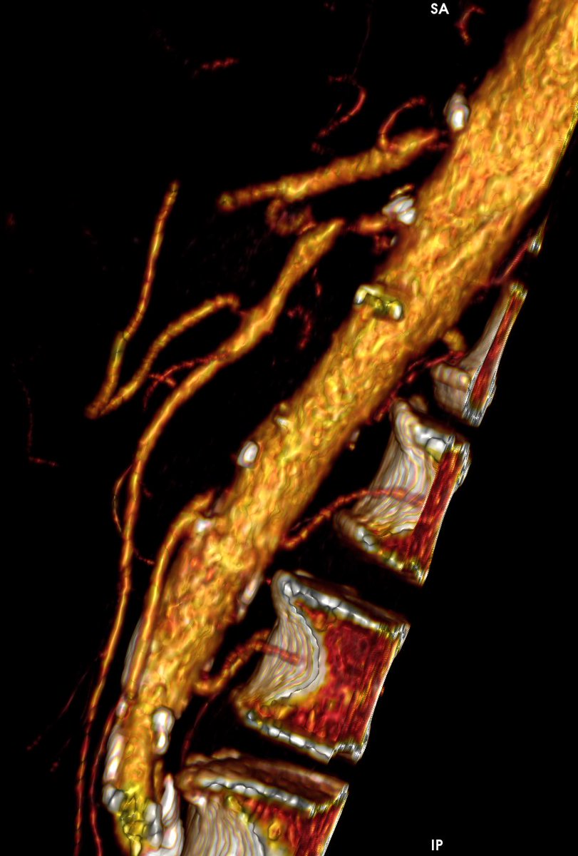 André Poci tweet media