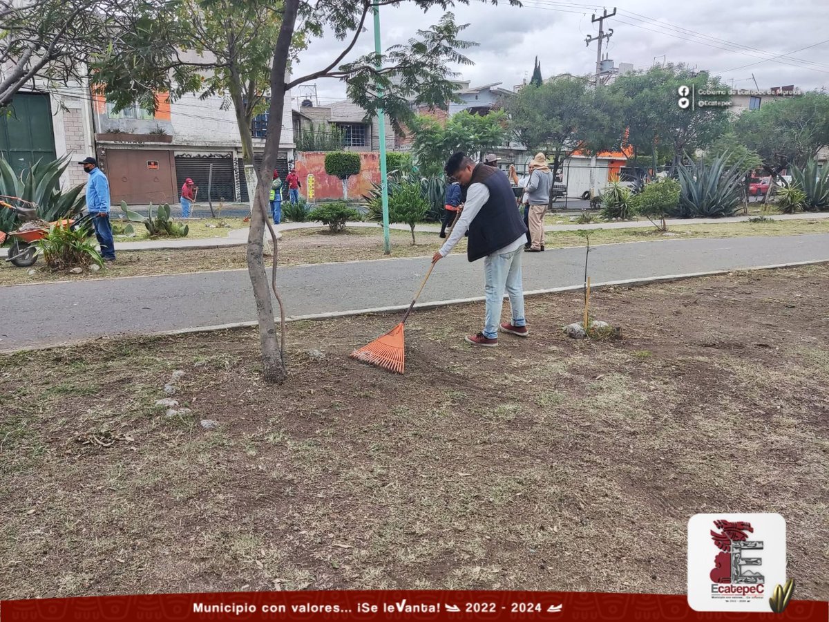 SAEcatepec2025's tweet photo. Servidores públicos de la Secretaría del H. Ayuntamiento, acudieron esta mañana a la Av. Valle de Guadiana, donde llevaron a cabo una jornada de limpieza, a través de estas jornadas de limpieza se busca recuperar espacios públicos para el recreamiento familiar. #Ecatepec https://t.co/zR3tI3ZDRa