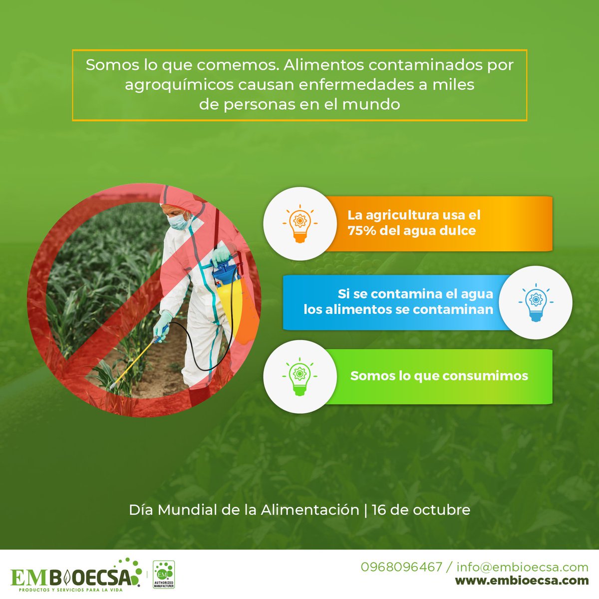 embioecsa's tweet photo. Día Mundial de la Alimentación 🥑🥕

La agricultura utiliza aproximadamente el 75% del agua dulce disponible, exponiendo a este recurso no renovable a constante contaminación 🚫 principalmente por el uso de agroquímicos.

#Agricultura #MicroorganismosEficaces #EM1 #Organico https://t.co/eyl0KdgnRt