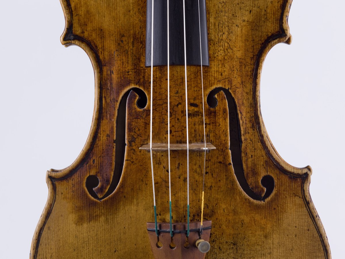 Mercury Chamber Orchestra tweet media