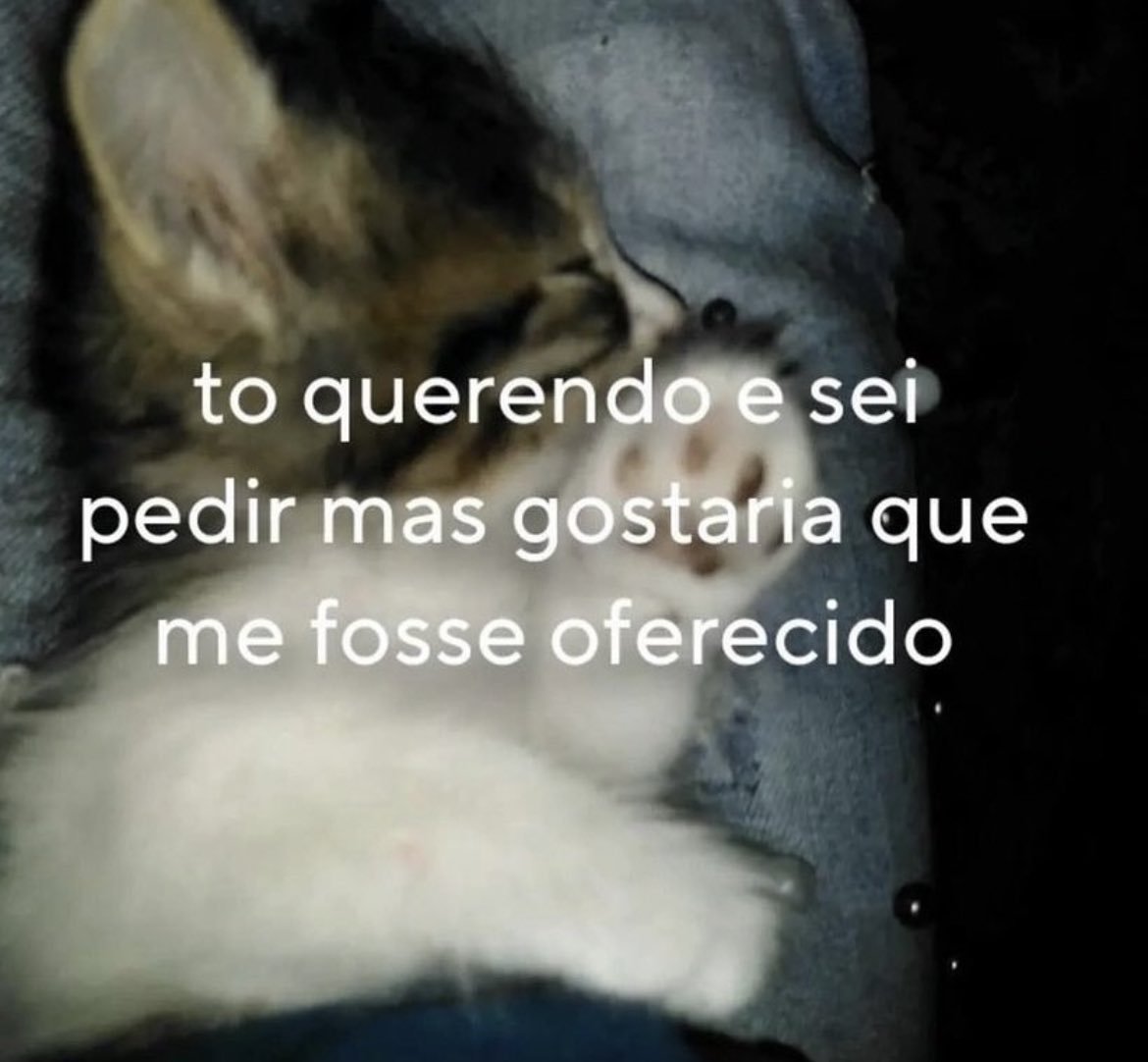 P*rra de cv mlq tu mora em apartamento carlho (@azaphian) on Twitter photo 
