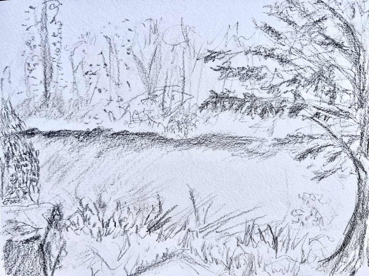 heartistartist_'s tweet photo. Quick sesh with nature, drawn with black crayon on sketchbook paper✍️🌳#kreate #naturesession https://t.co/j7kkxDcmL7