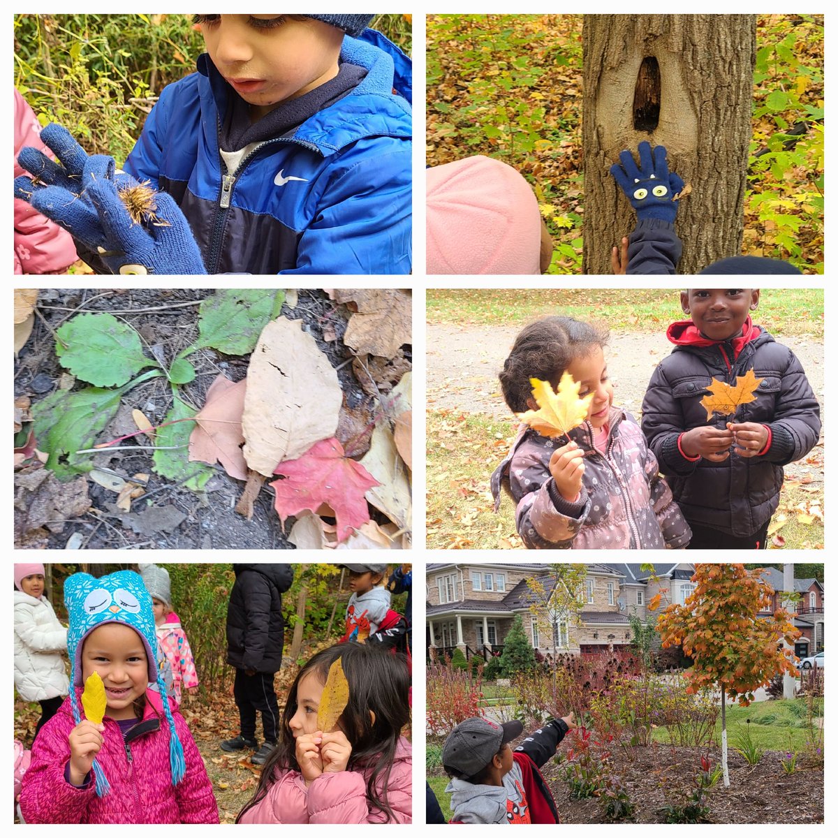 Day 1 of#KindergartenBioBlitz
Before heading outside to our local forest , we made predictions... blowing leaves, different colour leaves, squirrels and acorns, and sooo much more! <a href="/dp_EarlyYears/">DP Early Years</a> <a href="/DPOutdoorEd/">Silver Creek Outdoor Education Centre</a> <a href="/StAlphonsaDP/">St. Alphonsa Catholic Elementary School</a>