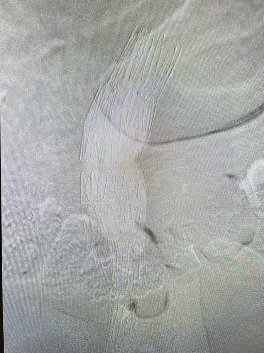 André Poci tweet media