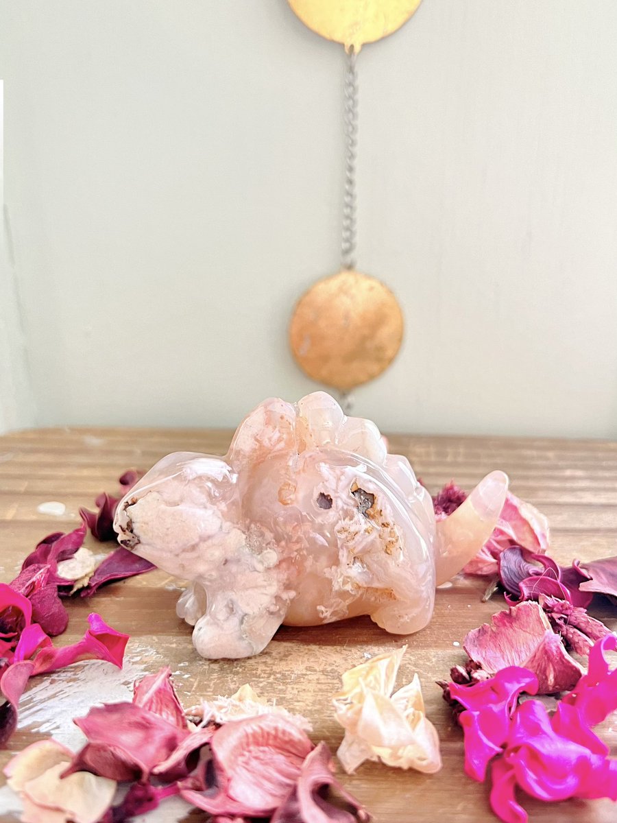 Annabtlouise's tweet photo. Some of the most stunning, high-quality crystals are still available from this weekends update!!🥹🤍

I would absolutely LOVE to find some a home today! It would mean the world to have your support!

VIDEOS🧵⬇️ https://t.co/buKUpcpL6P

Comes with a gift & same/next day ship!🥹🤍✨

📸: Labradorite, Fire Quartz, Lapis Lazuli, Flower Agate
