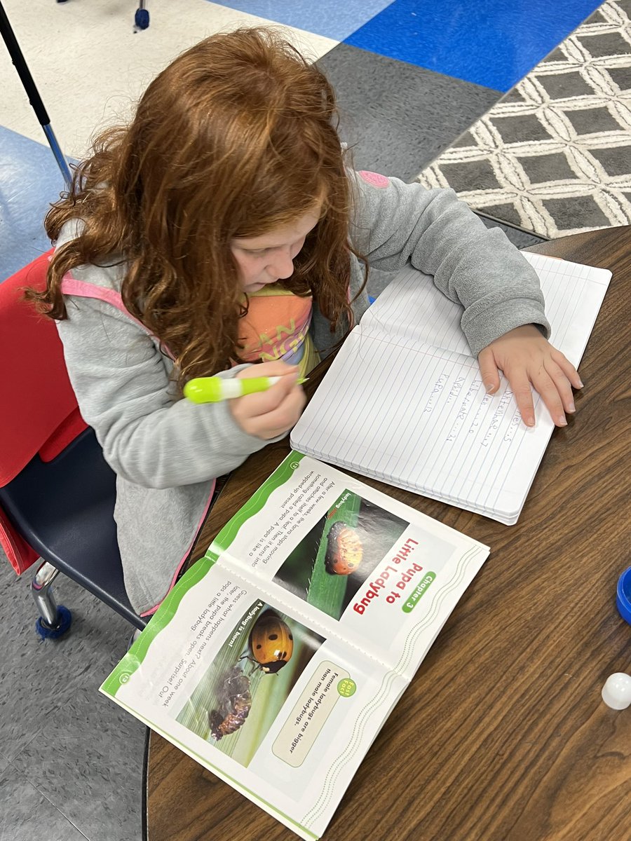 Lauren Murphy  tweet media