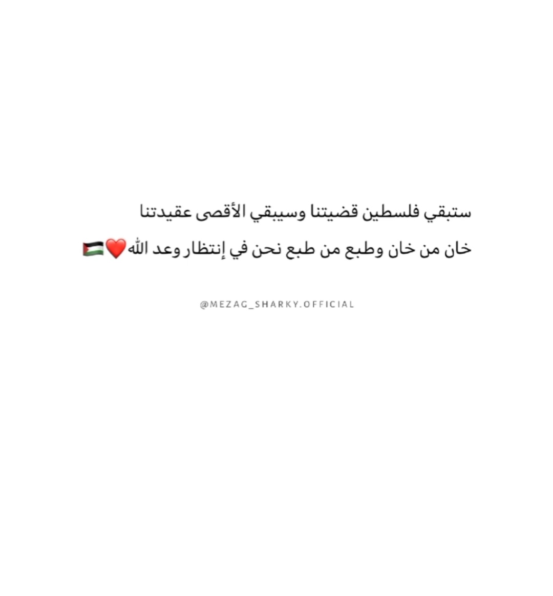يــارا الغــــيث♥️ tweet media