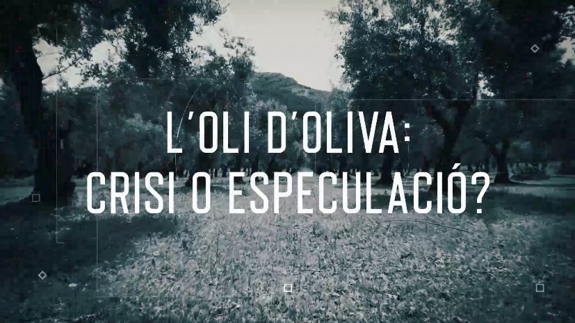 No podem imaginar-nos un futur sense l’oli d’oliva. Però o les coses canvien en molts sentits o ens hi haurem de resignar

El que sí que està a la nostra mà és valorar el nostre camp i reclamar un preu just per a l’oli d’oliva

Així aconseguirem protegir el nostre llegat
#ZoomOli