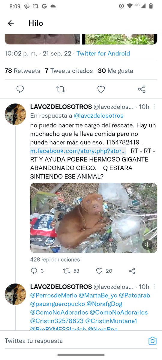 María Rosa tweet media