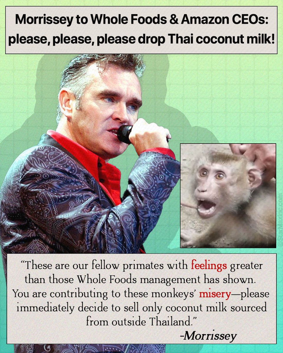 peta tweet picture