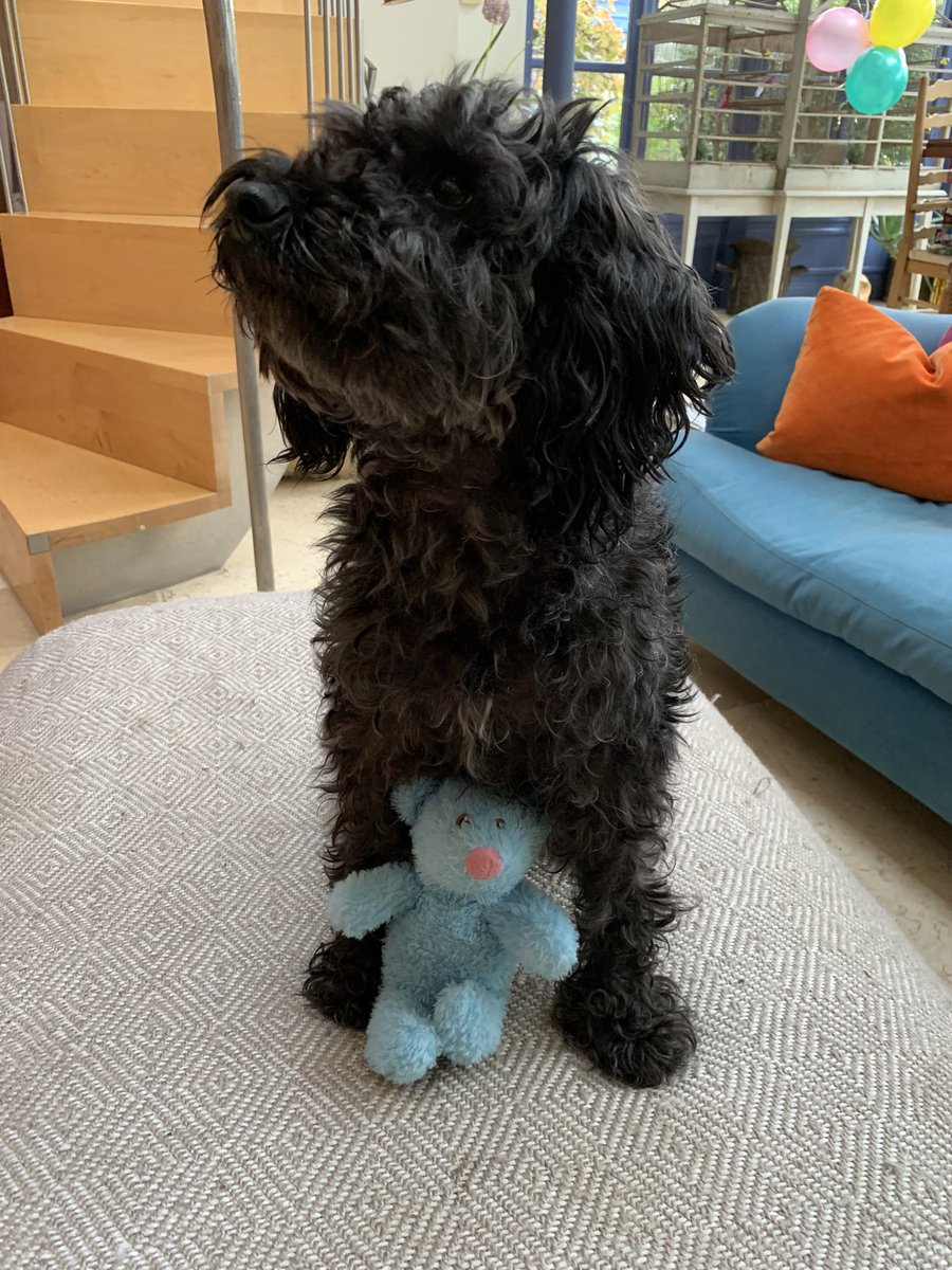 Jilljustwantstowrite tweet media