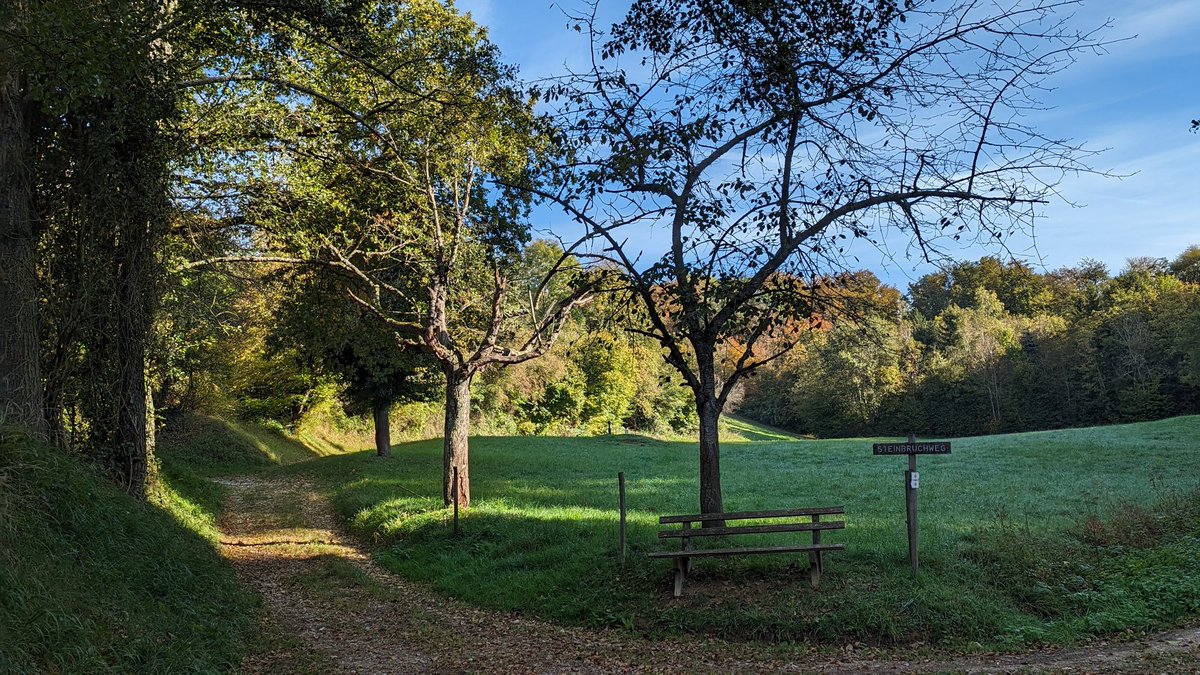 Unterwegs im 
#Markgräferland auf dem Interregio-Wanderweg im Länderdreieck Deutschland, Sschweiz und Frankreich.
shorturl.at/cduMO