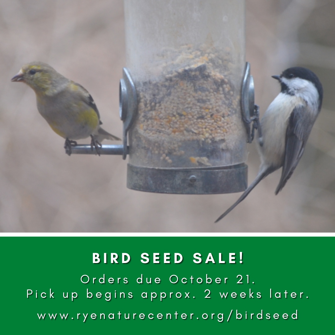 RyeNatureCenter's tweet photo. It's that time of year! Get your bird seed orders in today. https://t.co/h02q7rJZRm https://t.co/NtjZ0Ak8z7