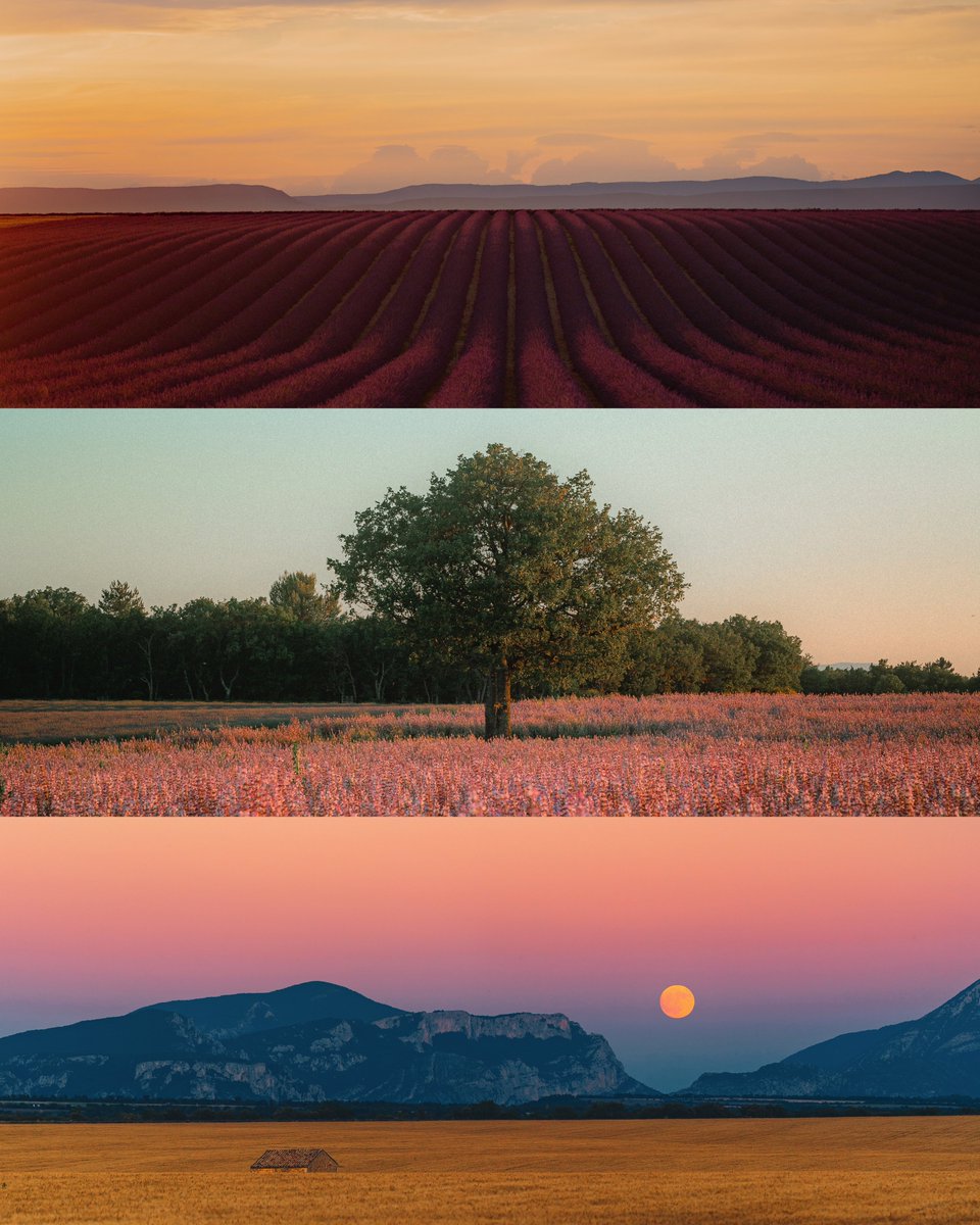 Frames from the Provence ✨
