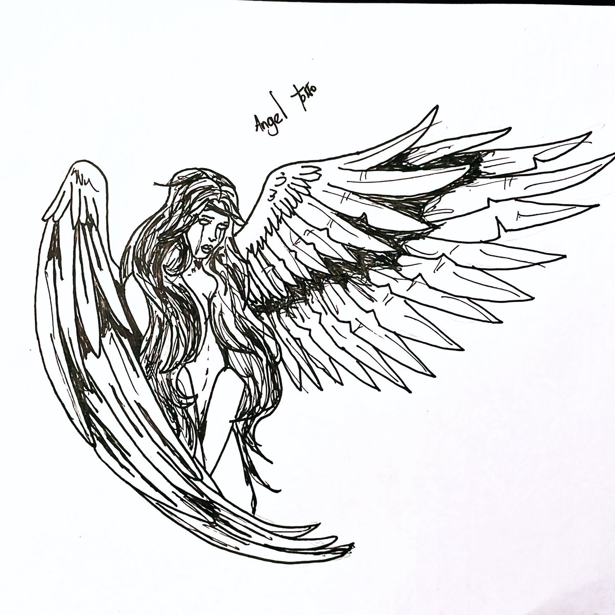 chamzant's tweet photo. #inktober #inktober2023 #angel https://t.co/ZnXhGq5XZ5