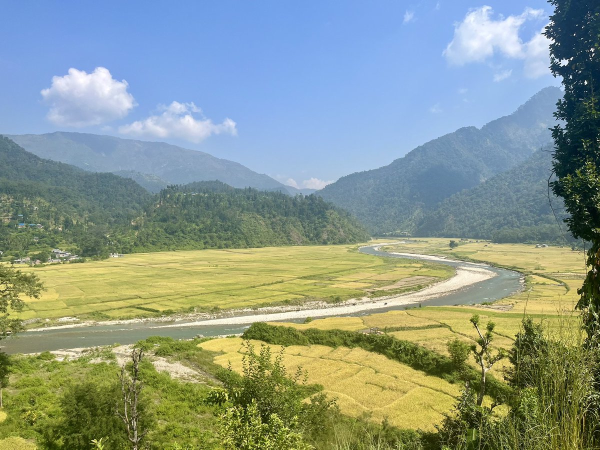 It’s time of harvesting rice <a href="/Salyan/">sally-ann orr</a>