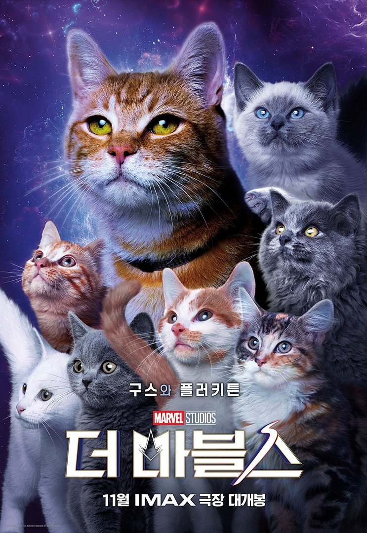 Marvfess's tweet photo. marv! poster resmi Goose dan para pasukannya dirilis oleh akun Marvel Korea 😻🫶 https://t.co/jVgZLwTAZW