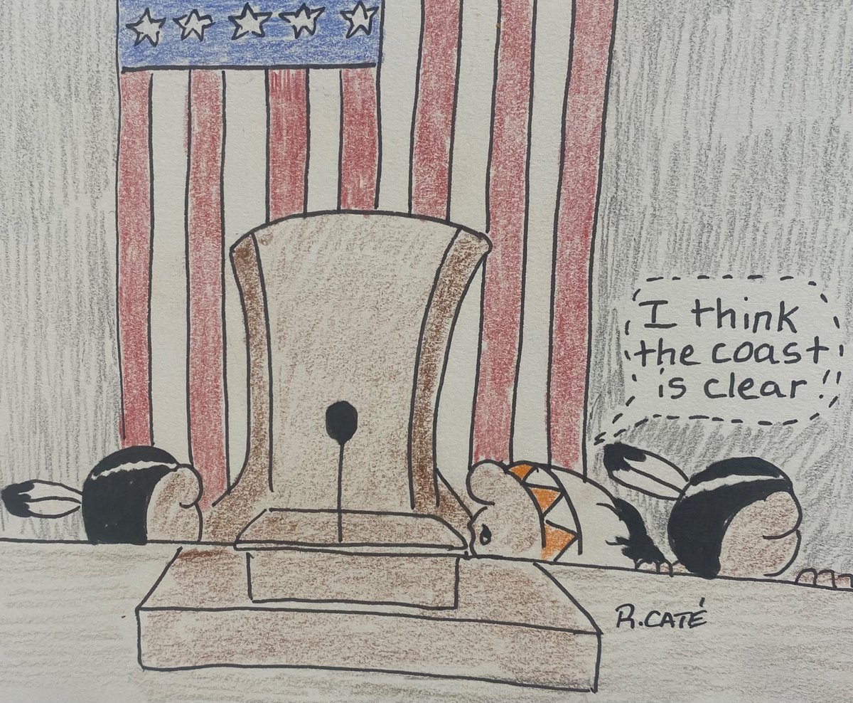 Ricardo Cate' tweet media