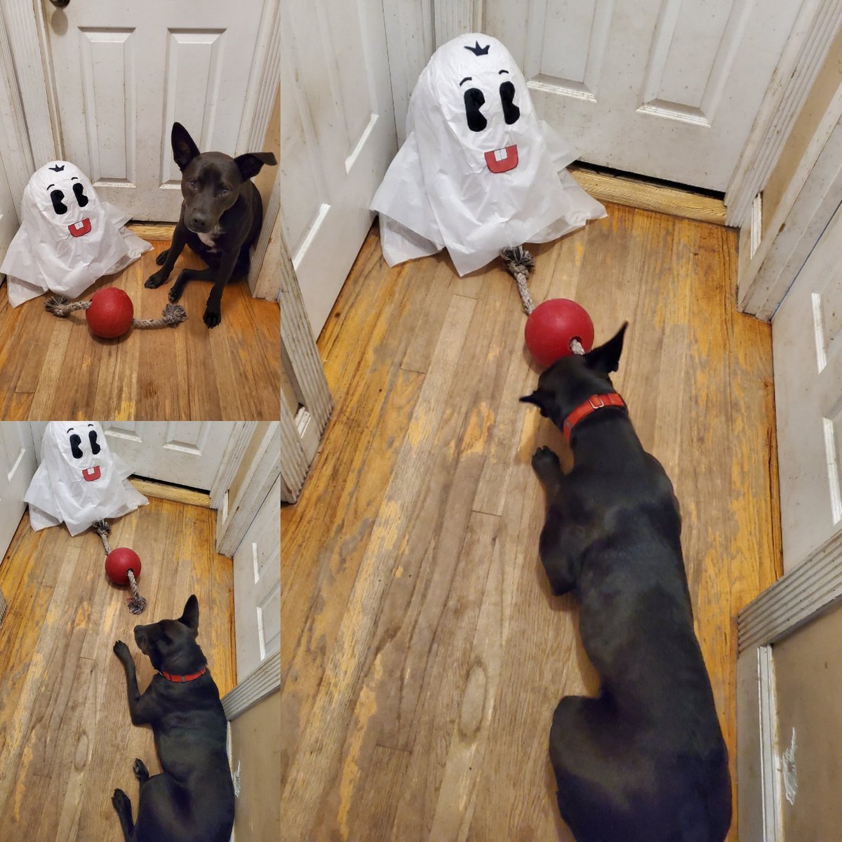 GottaBeCrazy2's tweet photo. #GISH2020 #HalloweenHaUNT #Item72: KIDS MENU Your house is totally haunted, but the ghosts are friendly. Show what they are doing. #GISH #TeamGottaBeCrazy https://t.co/rfxfqE1ZB9