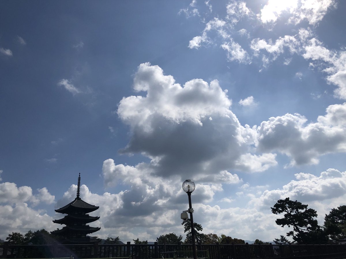 akur9's tweet photo. ナラソラ。

良い午後になりますように。 https://t.co/MTbl31dyen