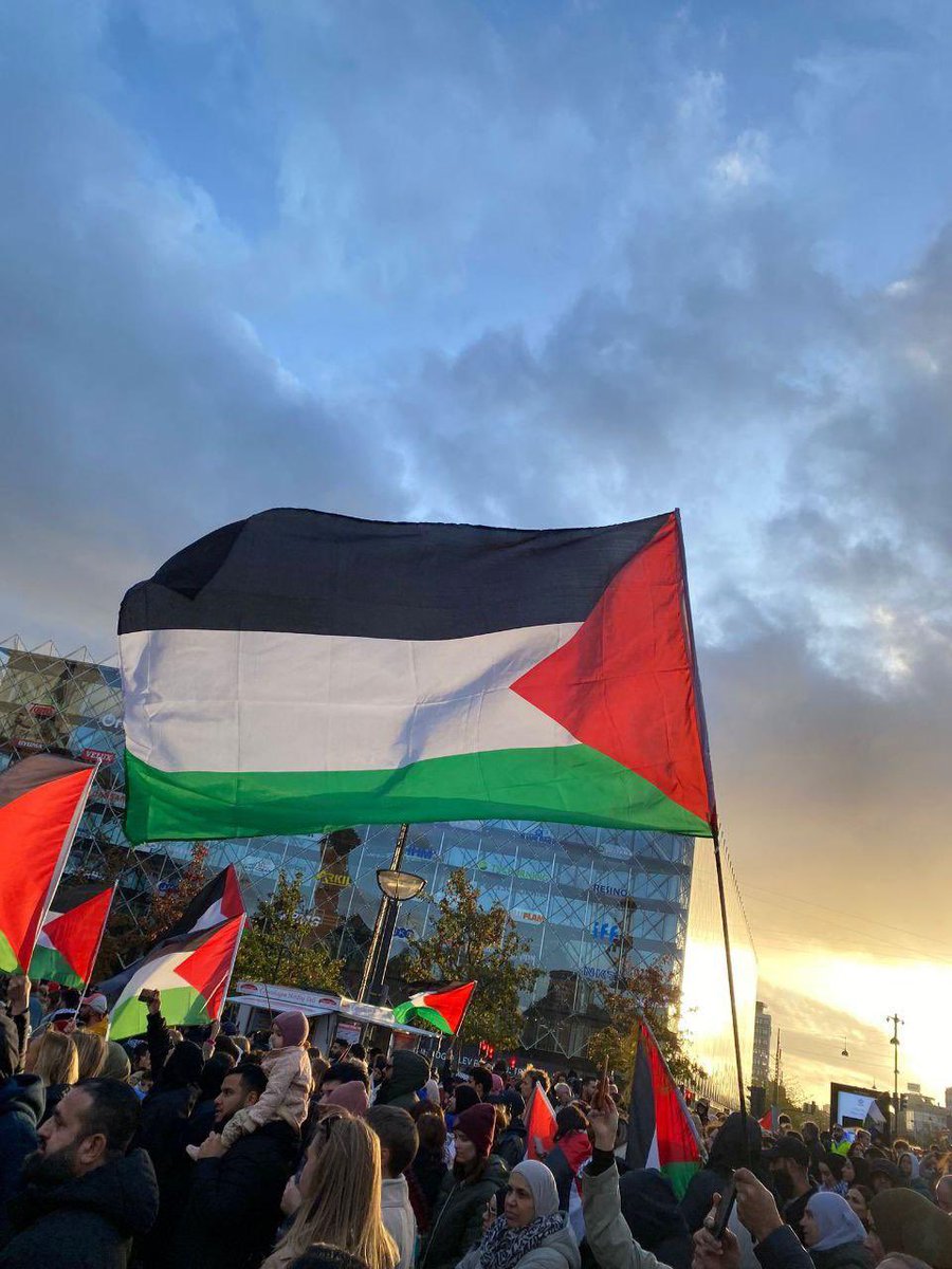 theaqil_'s tweet photo. no matter what, i stand with 🇵🇸 untill i die. https://t.co/SaLdsxpFtp