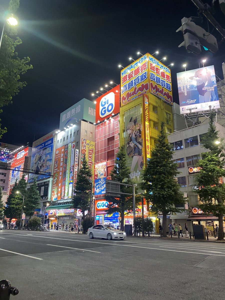 sapnapskitty's tweet photo. also i went to tokyo this summer ! here are some pics i love 🌸 https://t.co/ADCYXXgkjN