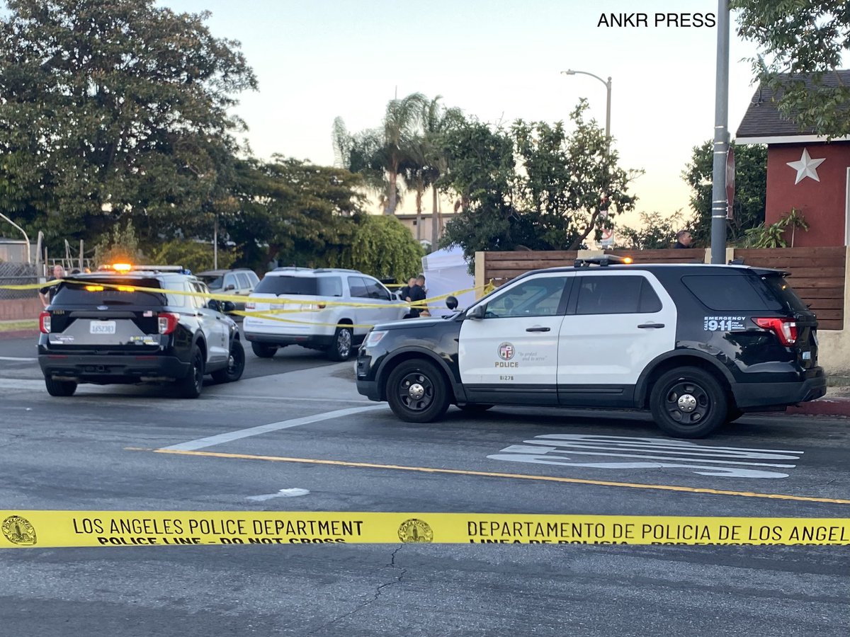 AnkrPress's tweet photo. Wilmington 10/16/23: 
Per LAPD Media Relations, two male adults were struck in a shooting on M St and Sanford Ave around 5:14 p.m. One was not conscious and not breathing upon arrival. The other is stable. Early reports suggested a possible child was struck. https://t.co/KLS99Stiq2