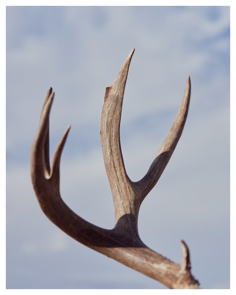 Jesse Rieser tweet media