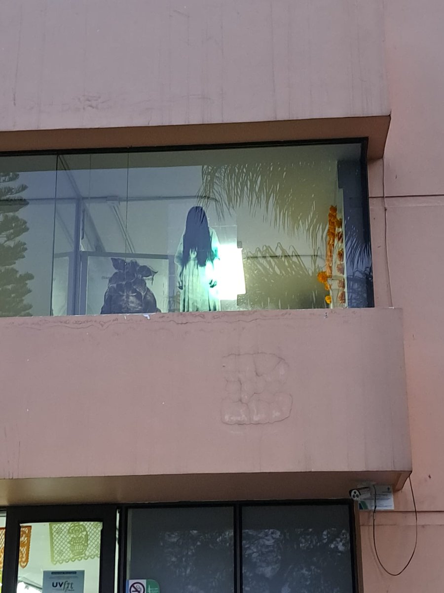 Out of Context Xalapa (@outofcontextxa) on Twitter photo 