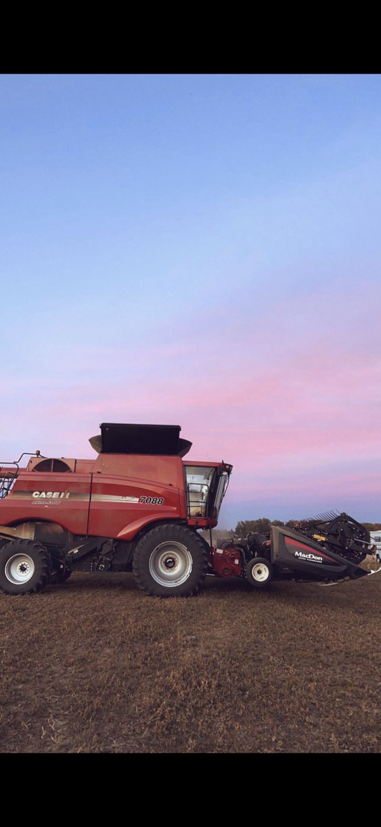 MarandaFarms's tweet photo. @DEKALB_Canada https://t.co/lHd2nqJDvr