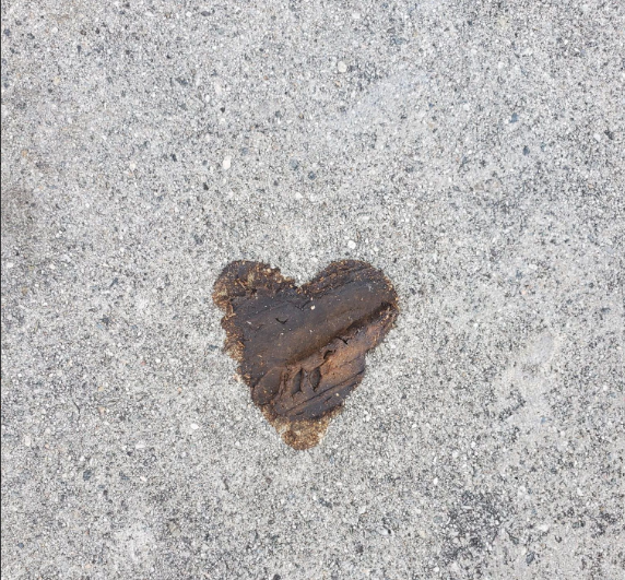 slimphatty tweet media