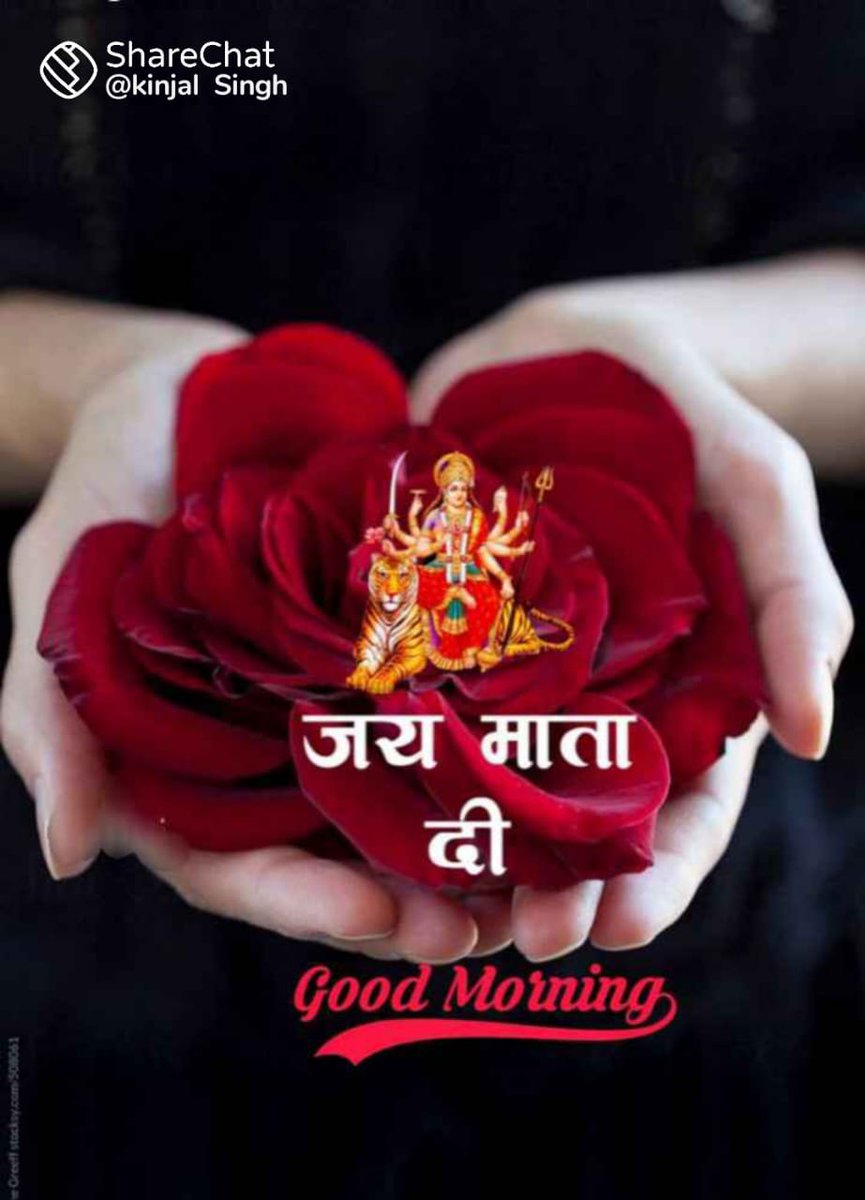 🙏Good Morning all friends 🙏 शुभ प्रभात सभी भाई बहनों को 🙏jay Mata Di 🙏 जय माता दी 🙏