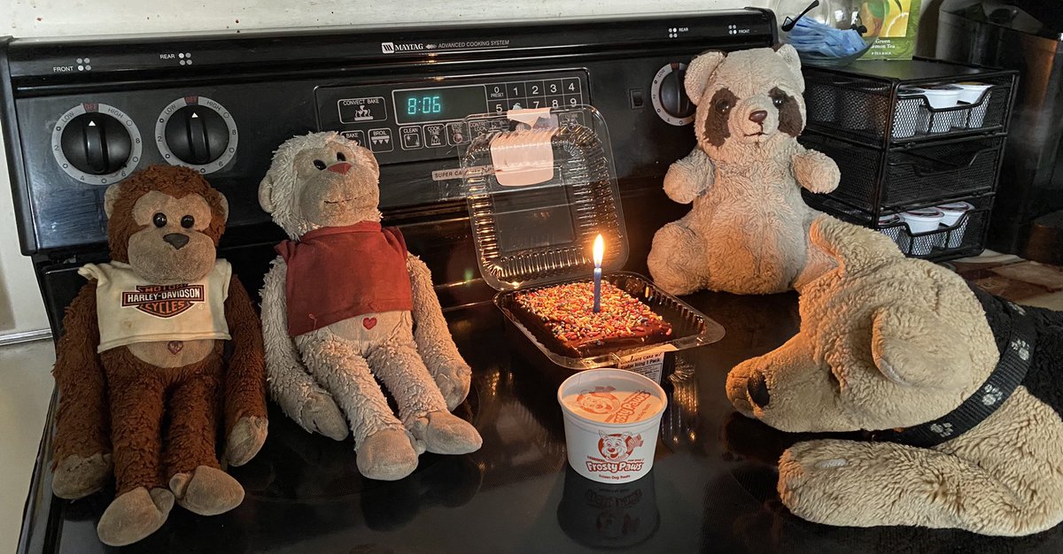 Mapache_444's tweet photo. Celebrating MookPup’s birthday 🎂🐕🎉 https://t.co/xVfEGdgWE3