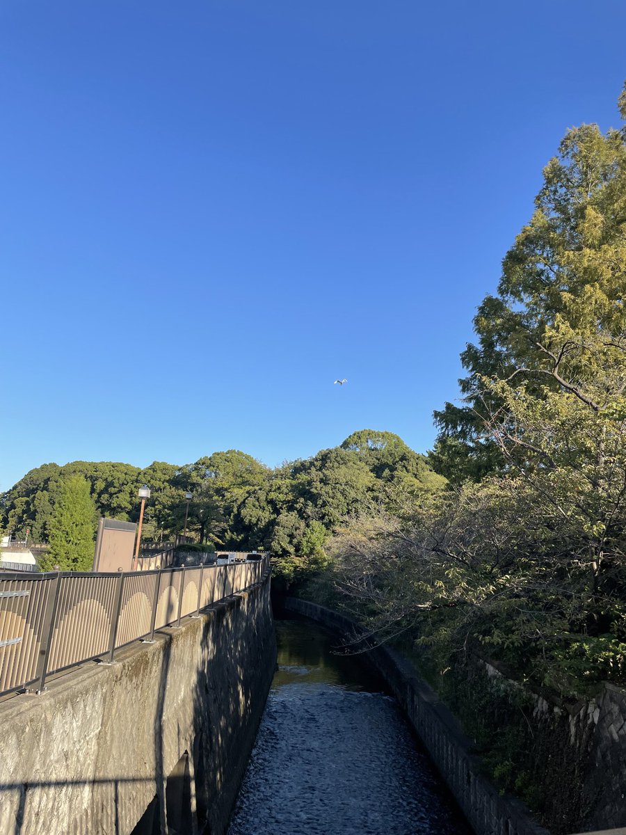 tajirin's tweet photo. https://t.co/kJzDQF5fDv