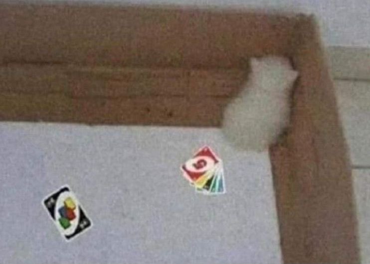- pega +4
- nao quero mais jogar