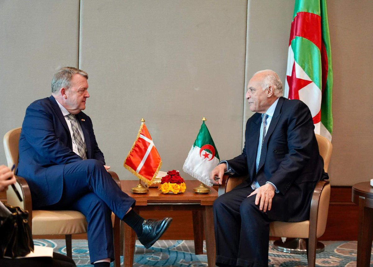 Katrine From Høyer tweet media