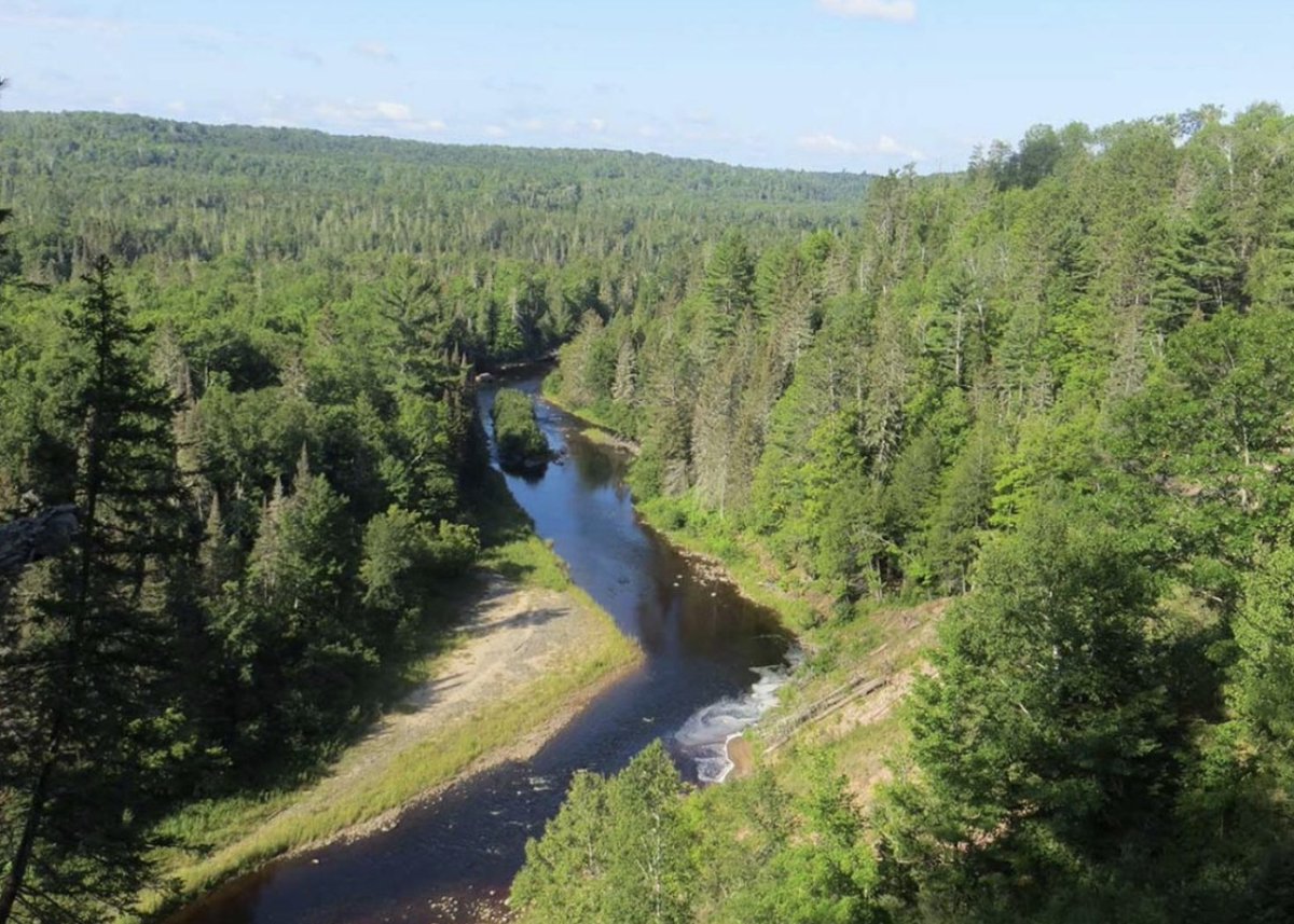 forest_network's tweet photo. Very soft demand for timber and cordwood at the end of the third quarter.

“These are the worst markets I’ve seen in my career — going back 50 years”, was how one manager for a Northern Wisconsin landowner described it.

Read more: https://t.co/hfB7kp1VnS https://t.co/KITydcQSJ3
