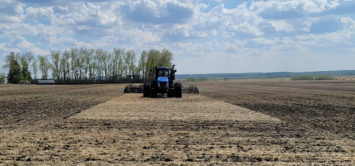 Micah Petersen tweet media