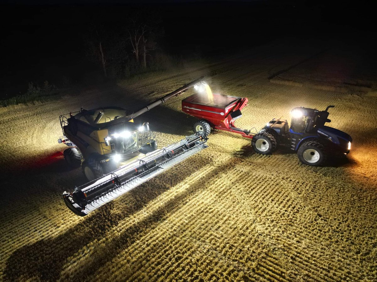 Micah Petersen tweet media