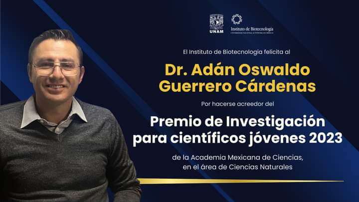 ibt_unam's tweet image. Es un placer informarles que el @AdanGue1 del @LNMA_MX del IBT se hizo acreedor al Premio de Investigación para Científicos Jóvenes 2023 de la @amciencias en el área de Ciencias Naturales

#OrgulloUNAM #OrgulloIBT

 La nota la pueden consultar en:

amc.edu.mx/amc/index.php?…