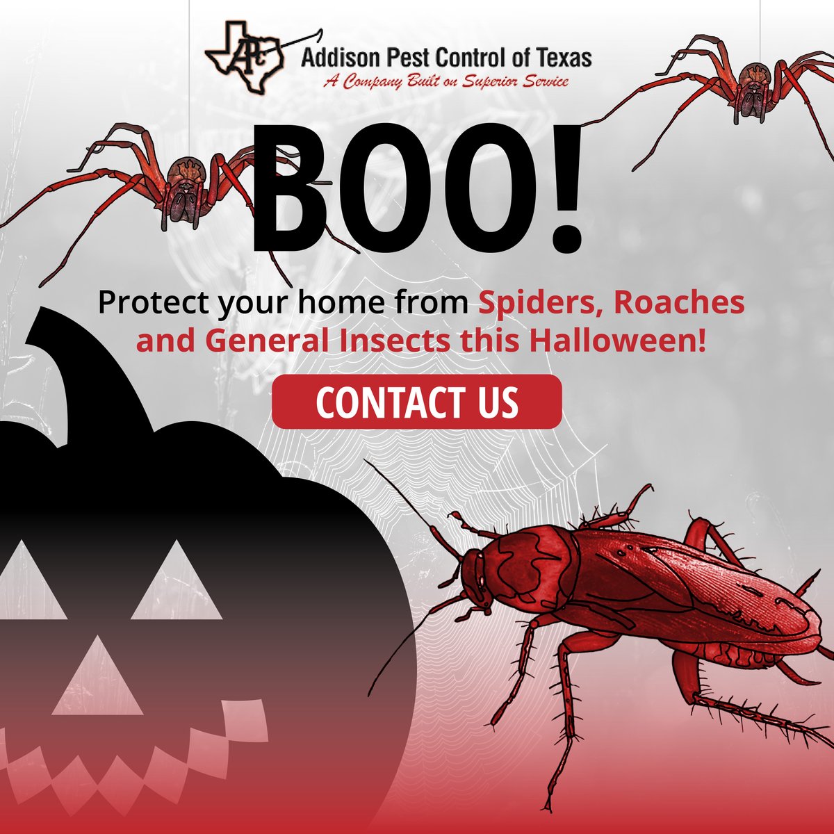 AddisonPest's tweet image. BOO! 🎃 Don&apos;t be surprised by unwanted visitors this Halloween season.🕷️ Stay safe, protect your family and home, and call us today! #spookyseason #northtexas #pestcontrollife #happyhalloween