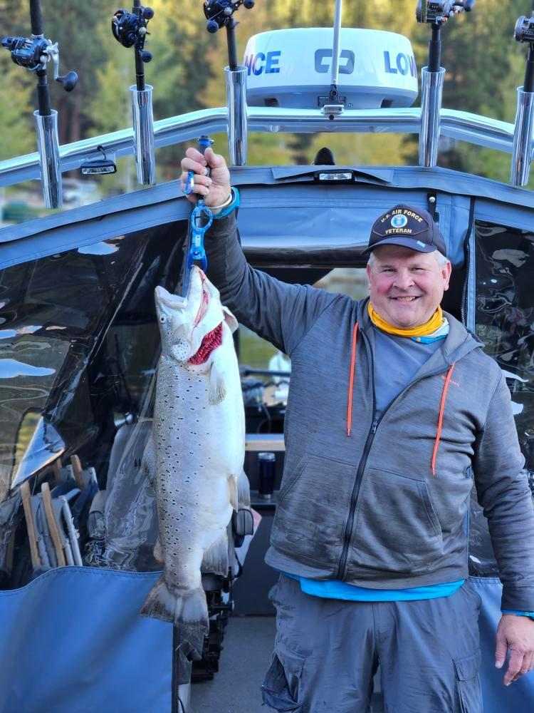 KneeDeep395's tweet photo. A 22-pound, 10-ounce brown trout was caught at upper Twin Lake in Bridgeport, Ca. this morning. Half-ass internet research suggests it's top 5 ever in Ca, and 4 of those were from the same lake. 

State Record is 26-8.

I'll be writing it up. https://t.co/TAyfRt3pBS