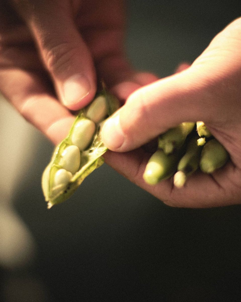 ThreeFarmers's tweet photo. On #WorldFoodDay we celebrate the food that we eat every day but to also spread awareness about those who struggle with food scarcity. To do our part to help we partner with local organizations to share snacks, a small step in a grand mission.
#ThreeFarmers #RealFoodMatters https://t.co/AVymZyE4pa