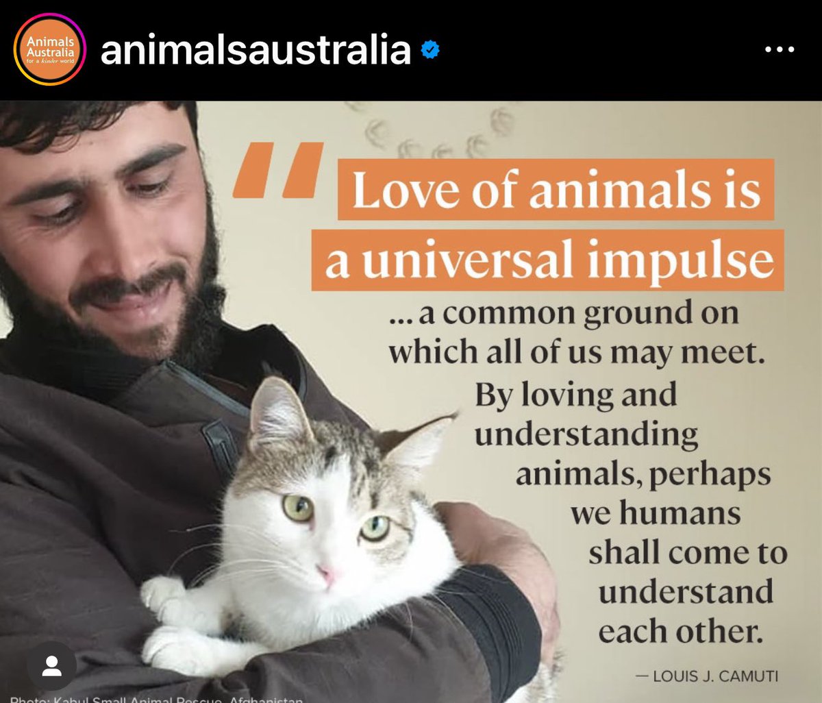 thankdogiamout's tweet image. Thank DOG I Am Out Dog Rescue Society is an Canadian Registered Not for Profit “Animal Welfare “ Society , always, a rescue group with NO geographical boundaries. Our mandate is all about #howcanwehelp discarded animals, including animals caught in the chaos of conflict? Many,…