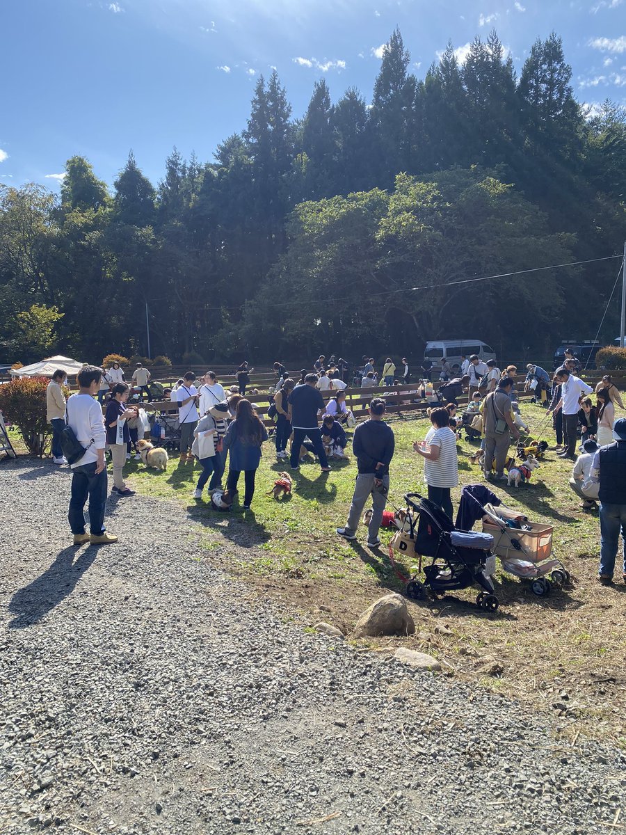 uchinoco's tweet photo. 第5弾 うちの仔市場MINI in Chillax Garden CAMP.024
のイベント風景

このイベントはminiでテーマが
ゆったりまったり！
大自然の中で美味しい空気と一緒にわんちゃんと楽しむ♡
2日目はあいにくの雨&amp;寒さ
そんな中でも来場してくださってありがとうございました🫰

皆���、次回は四季の里ですよ！ https://t.co/EGSsopTu6W