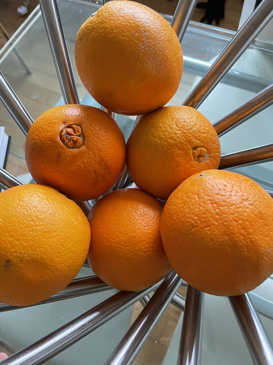 Neet Neilson (@neetneilson) on Twitter photo 6 week old oranges from <a href="/waitrose/">Waitrose & Partners</a> I wondered why I felt sick every time I ate one. Wtf is on these that they last like this? Obviously not good. And what is this doing to us??? How long were they like that before I got them 6 weeks ago? Do explain Waitrose. This is not right 6 week old oranges from <a href="/waitrose/">Waitrose & Partners</a> I wondered why I felt sick every time I ate one. Wtf is on these that they last like this? Obviously not good. And what is this doing to us??? How long were they like that before I got them 6 weeks ago? Do explain Waitrose. This is not right