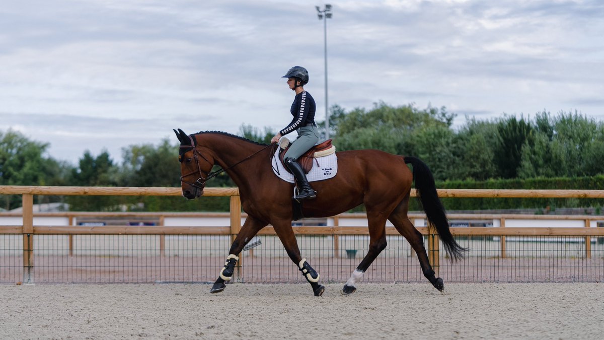 AcadmieDelaveau's tweet image. Back on Track® à nos côtés, pour préparer, performer, récupérer !

academiedelaveau.com/2023/10/15/bac…