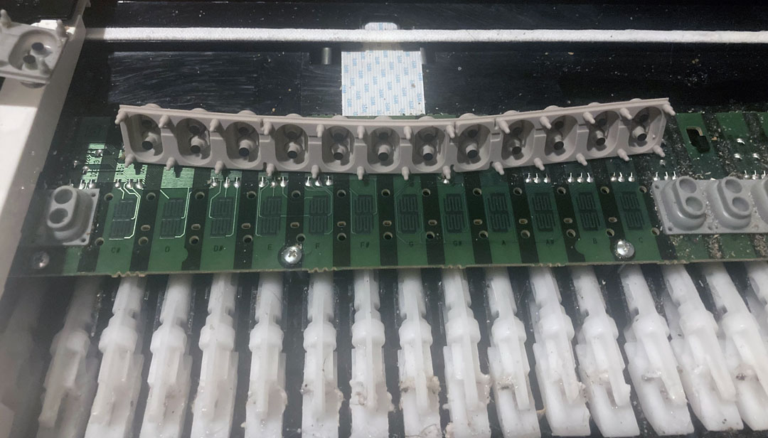 🎹 Piano Key Repair: My DIY Journey 🎹

Dealing with unresponsive or loud keys on your digital piano? In my latest article, I share my journey to fix it.
🔧 Discover how I did it: insidepiano.com/fixing-digital…

#DigitalPiano #Repair #DIY #InsidePiano