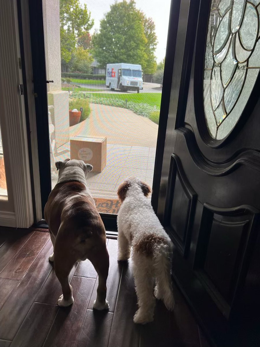 ryanhbrewer's tweet photo. @thefarmersdog They were ready. https://t.co/8UmuIWHTAa